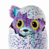 HATCHIMALS SUPRISE Dvojčatá Mačičky